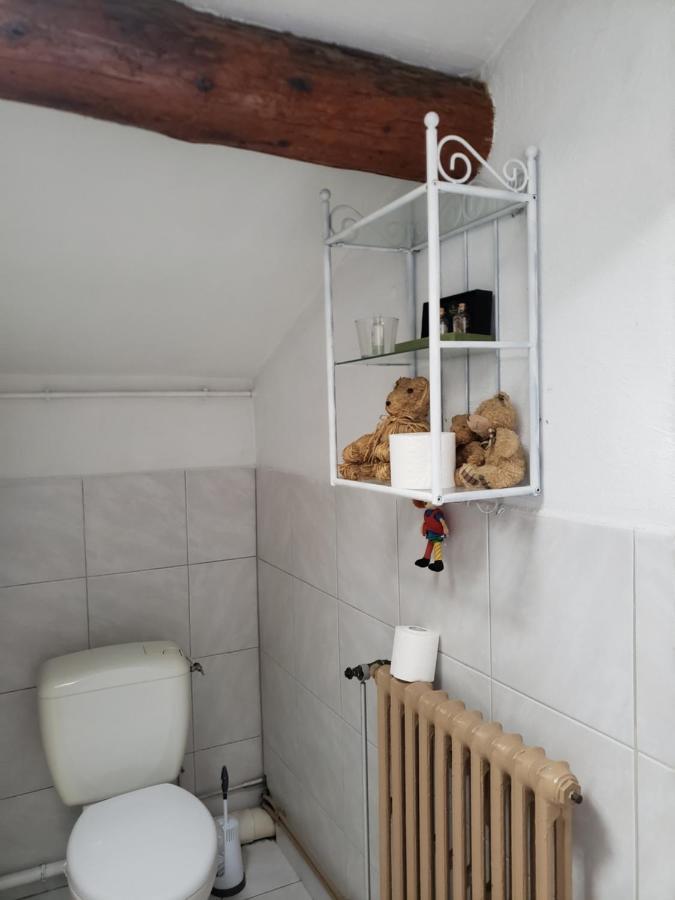 Chambre Dans Une Grande Maison Entre Canal Du Midi Et Centre Ville Безие Екстериор снимка