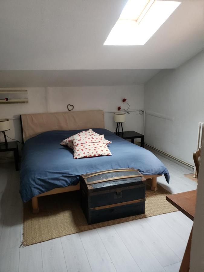 Chambre Dans Une Grande Maison Entre Canal Du Midi Et Centre Ville Безие Екстериор снимка
